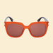 Powder Luxe Kiona - Mandarin/Tortoiseshell Sunglasses