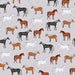 Whistlefish Equine Delight Wrapping Paper Pack
